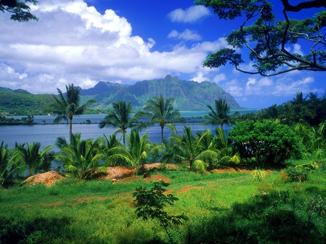 Земной Рай - Таити и острова Тихого океана
